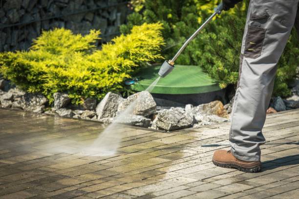 Best Animal Enclosure Cleaning  in Kentwood, MI
